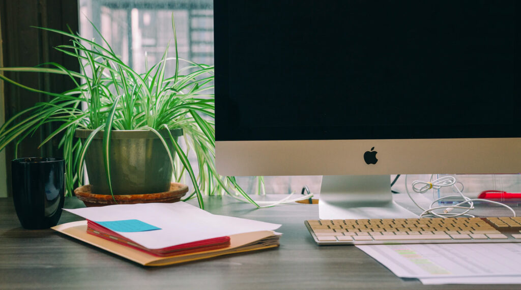 Plant on a desk